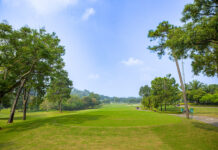 Vinh Quang Đất Tổ – giải đấu mở màn năm 2026 của Hội Golf Phú Thọ